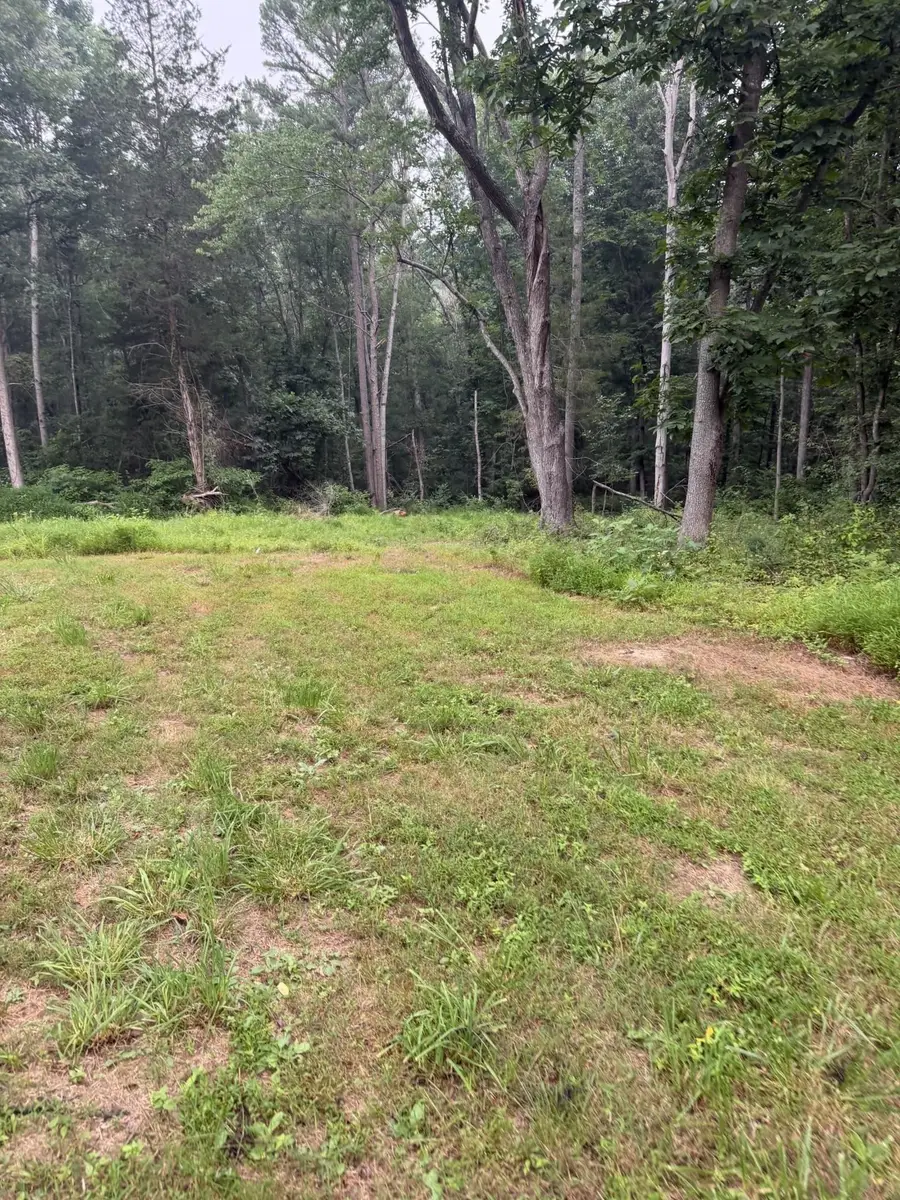 0 Mt Paran Church Rd, Elkton, VA 22827 - #3