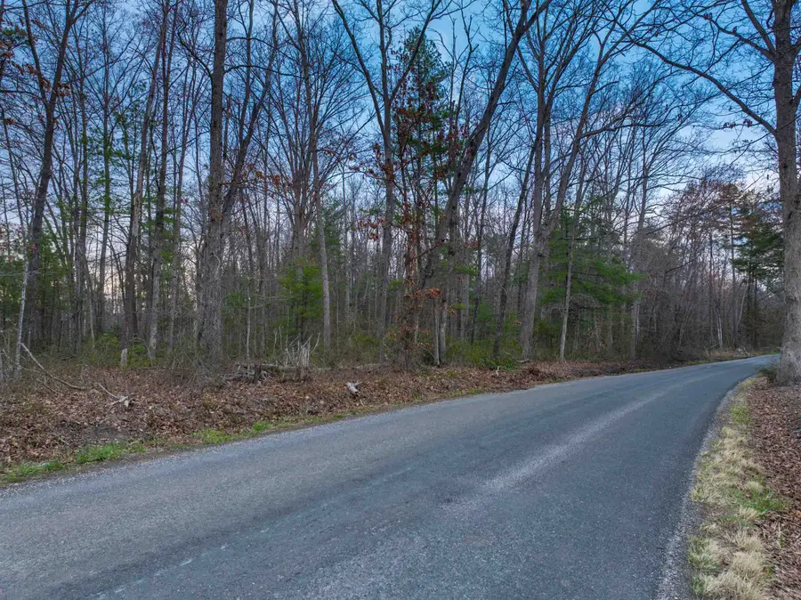 TBD East Branch Loop, Roseland, VA 22967 - #3