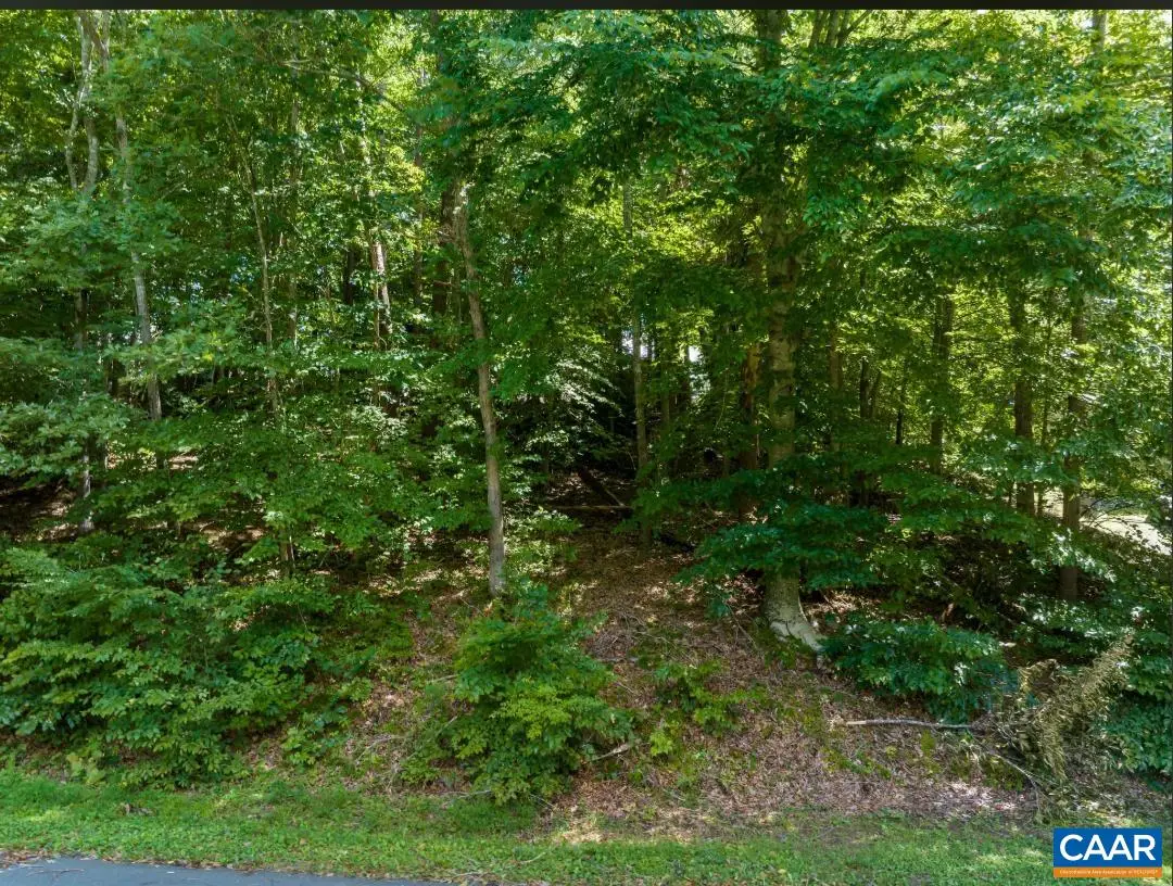 0 Overlook Cir, Palmyra, VA 22963 - #1