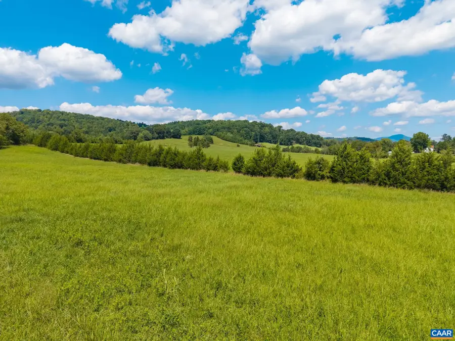 TBD Buffalo Mines Rd, Roseland, VA 22967 - #2