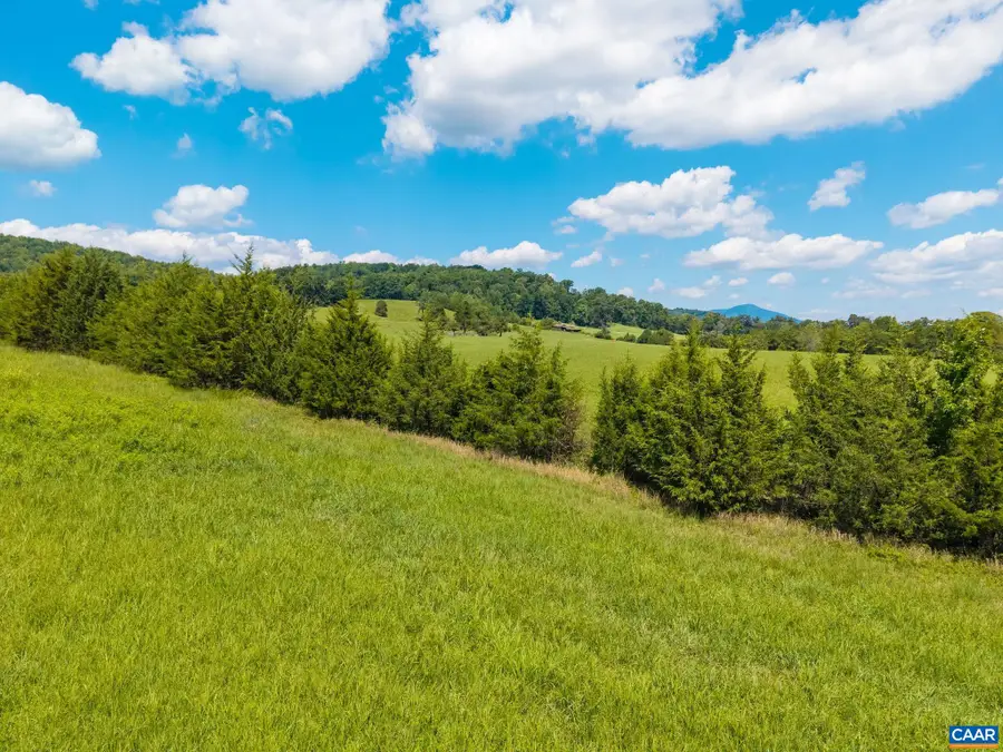 TBD Buffalo Mines Rd, Roseland, VA 22967 - #3