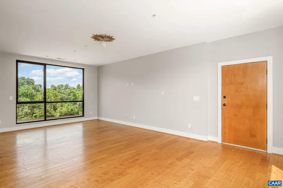 211 Cream St, Charlottesville, VA 22903 - #3