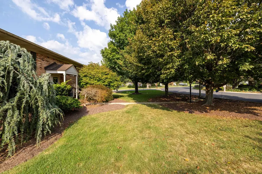 315 7th St, Harrisonburg, VA 22802 - #3