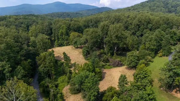 188 Pounding Branch Rd, Afton, VA 22920