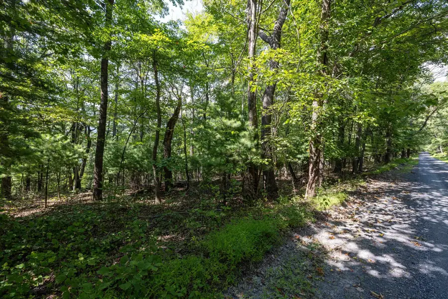 0 Supinlick Ridge Rd, Broadway, VA 22815 - #3