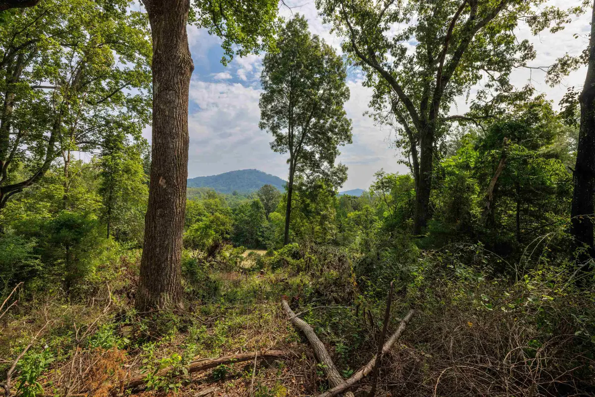 TBD Pounding Branch Rd, Afton, VA 22920 - #1