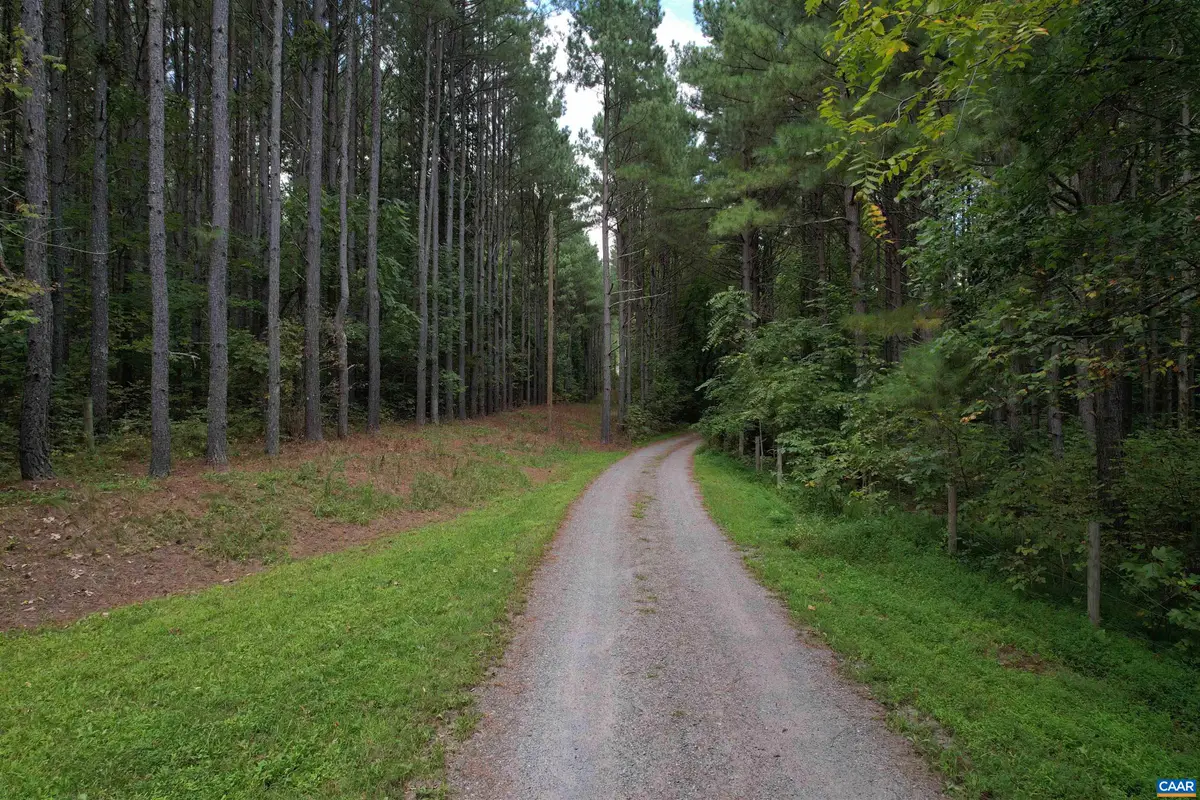 Hollowback Ln, Madison, VA 22727 - #1