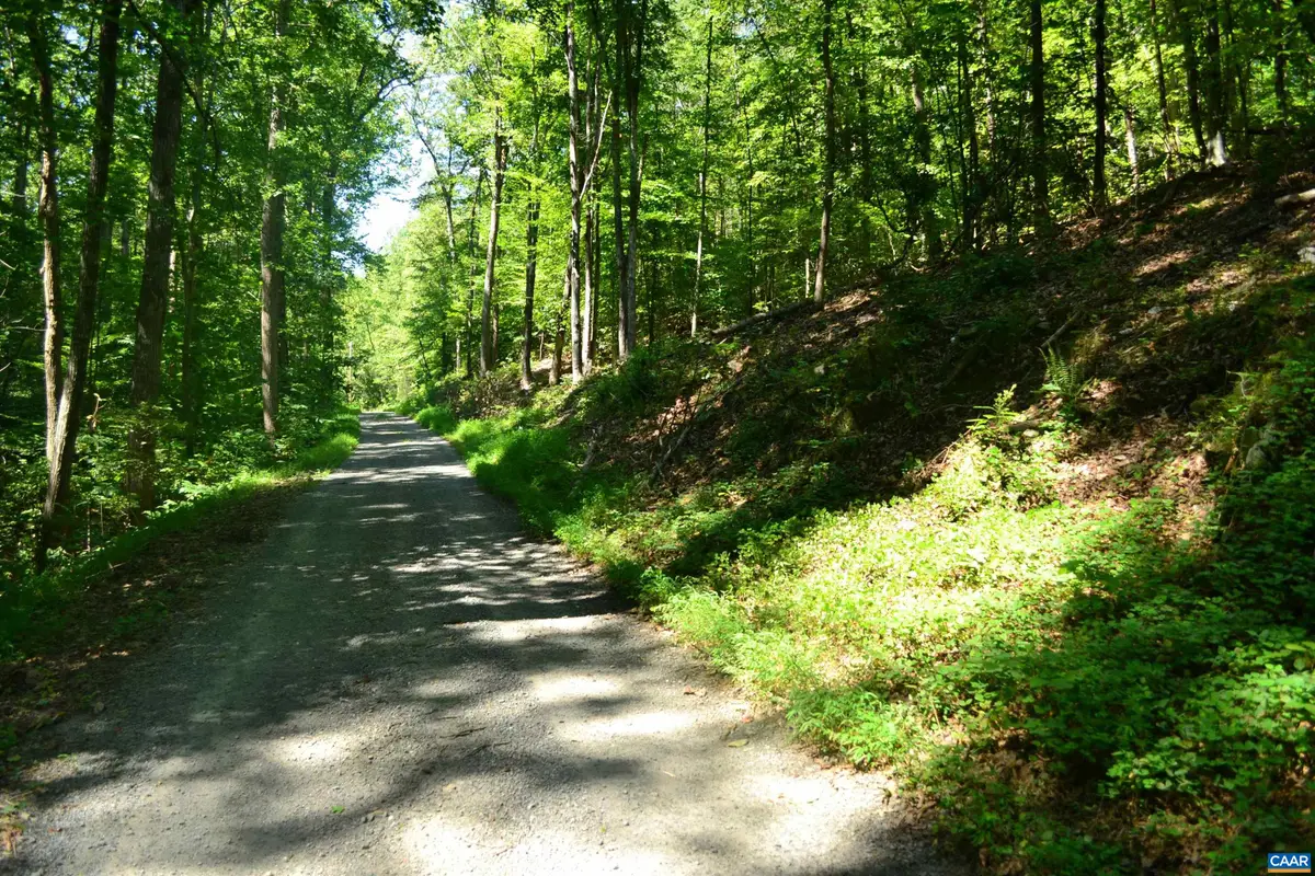 TBD Damon Rd, Schuyler, VA 22969 - #1