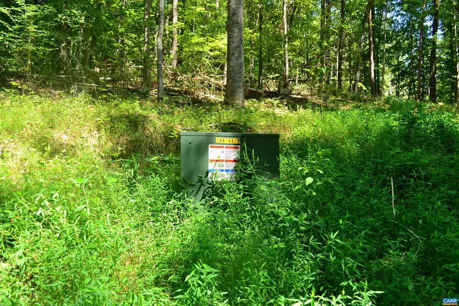 TBD Damon Rd, Schuyler, VA 22969 - #2
