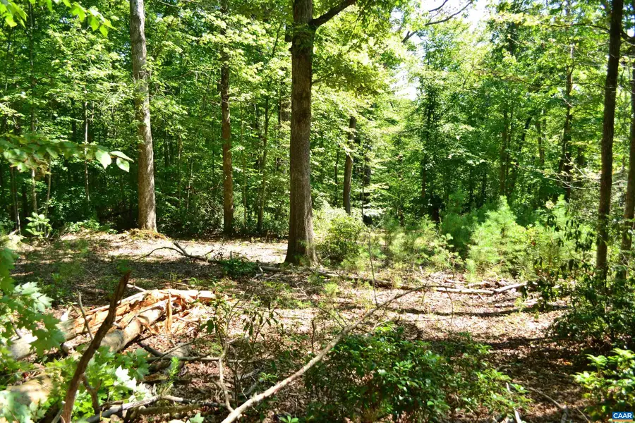 TBD Damon Rd, Schuyler, VA 22969 - #3