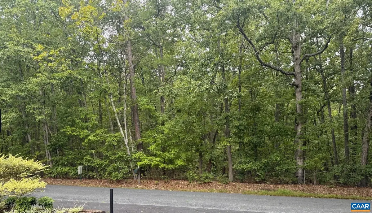 TBD Blenheim Rd, Scottsville, VA 24590 - #1