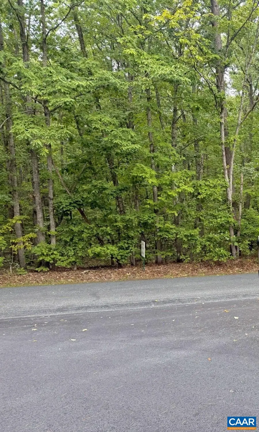 TBD Blenheim Rd, Scottsville, VA 24590 - #2