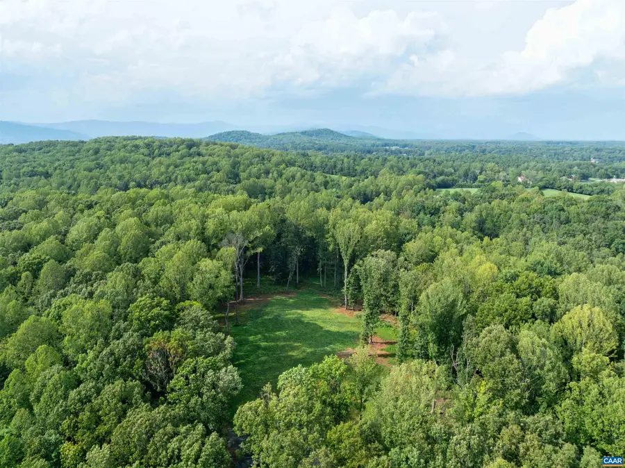 00 Dick Woods Rd, Ivy, VA 22945 - #3