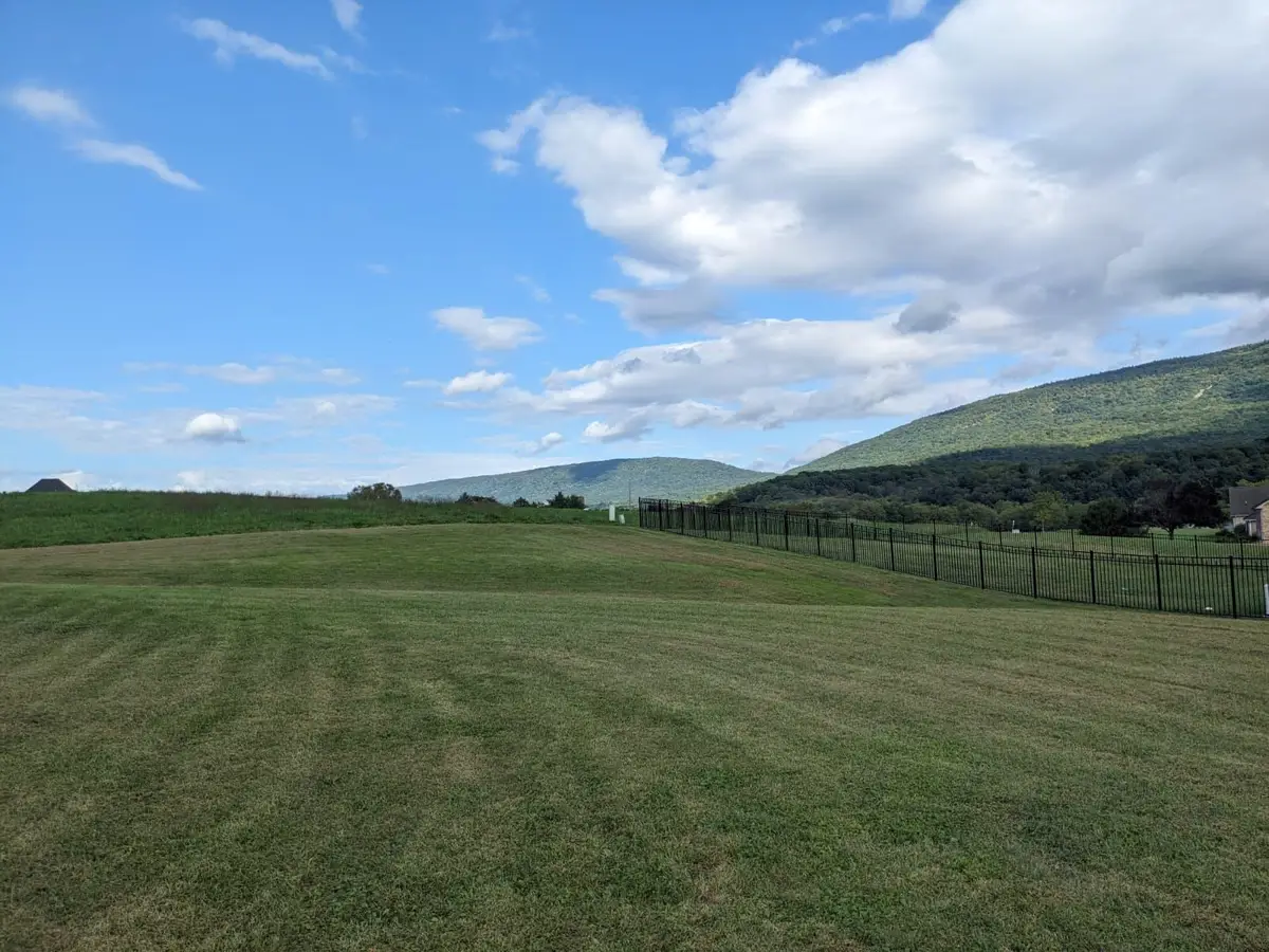 TBD Clicks Ln, New Market, VA 22844 - #1