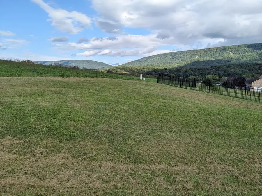 TBD Clicks Ln, New Market, VA 22844 - #2