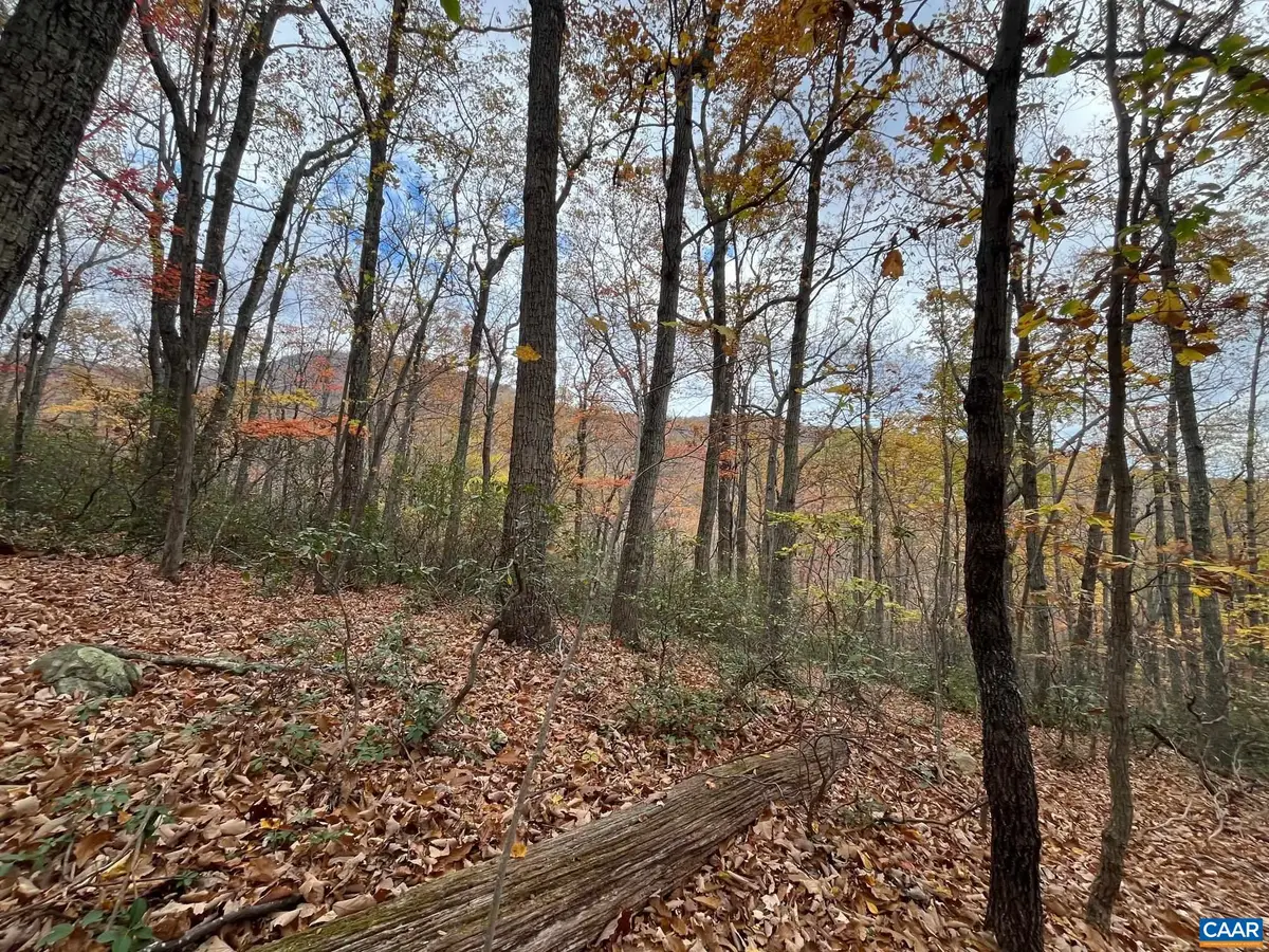 Tree House Pl, Nellysford, VA 22958 - #1