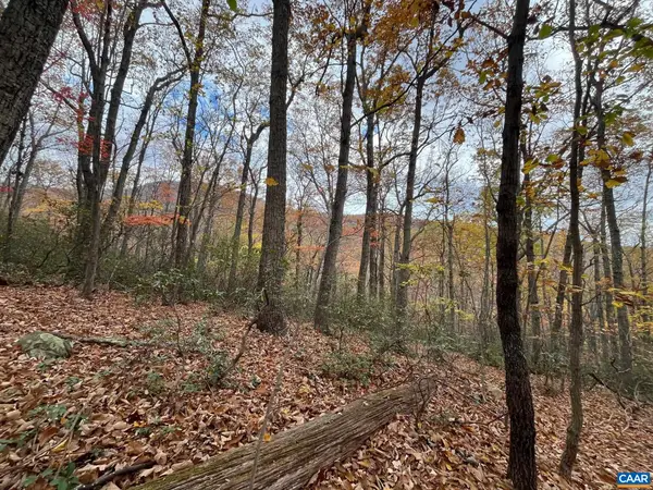 Tree House Pl, Nellysford, VA 22958