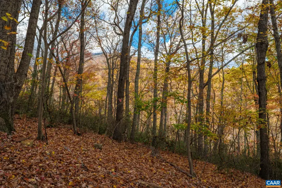 Tree House Pl, Nellysford, VA 22958 - #3