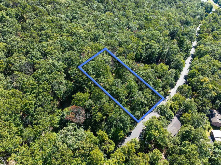 4180 Palmer Rd, McGaheysville, VA 22840 - #2