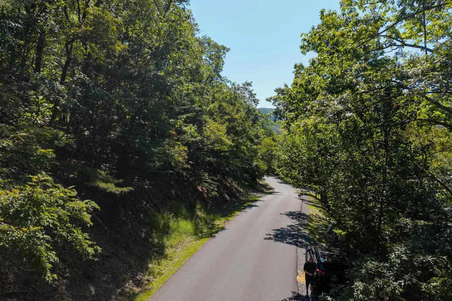 4180 Palmer Rd, McGaheysville, VA 22840 - #3