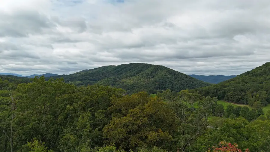 56 Quarry Hill Rd, Hot Springs, VA 24445 - #3