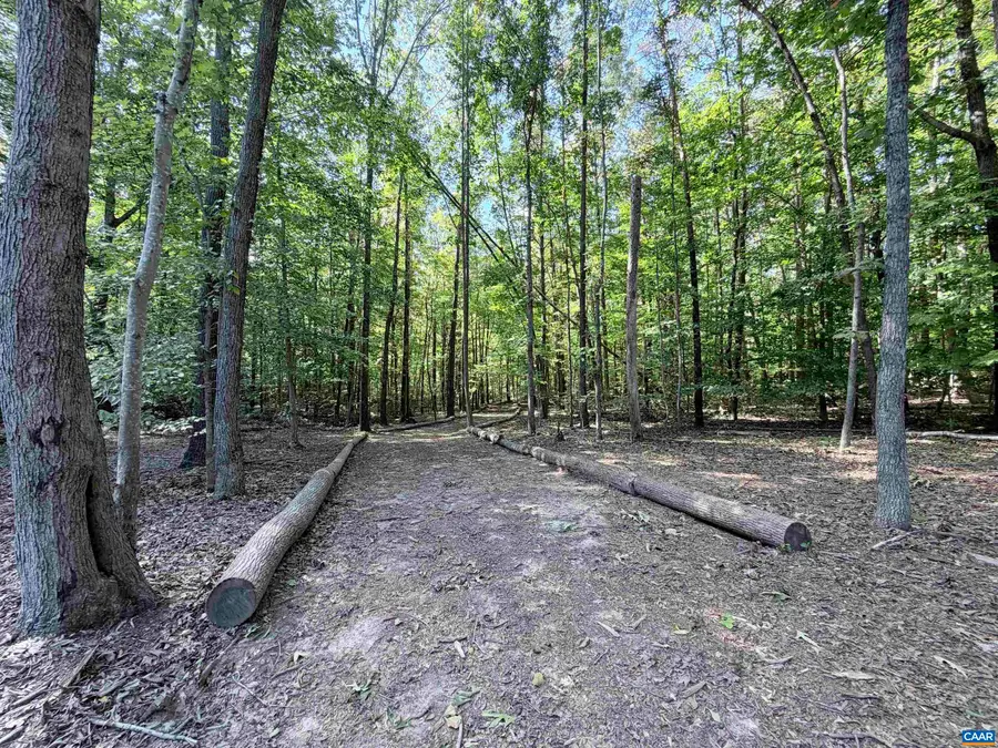 33 Piney Mountain Ln, Shipman, VA 22971 - #3