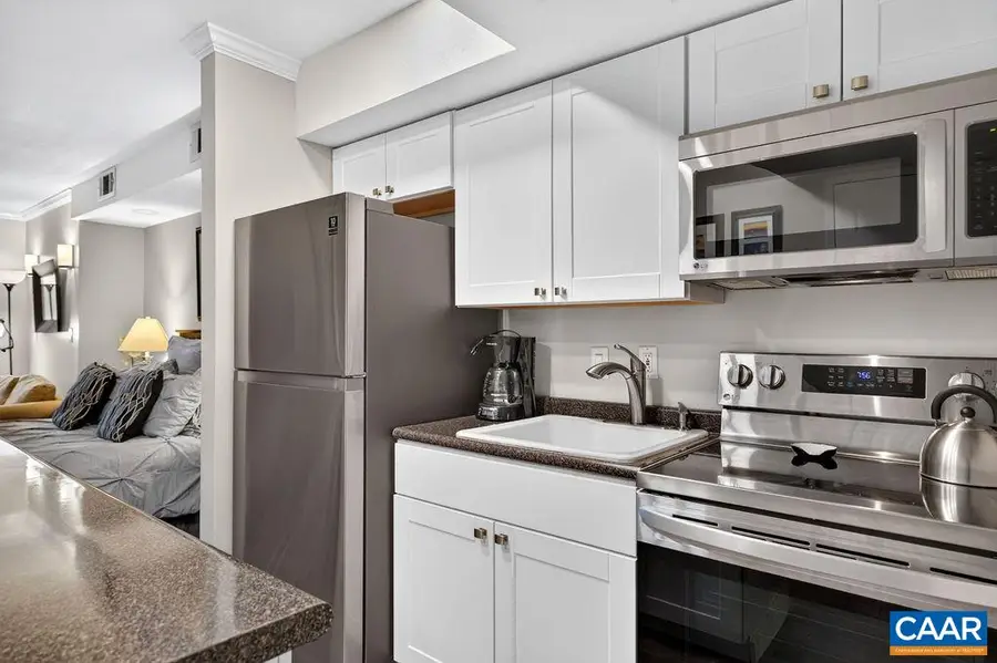 2064 Stone Ridge Condos, Wintergreen Resort, VA 22967 - #3