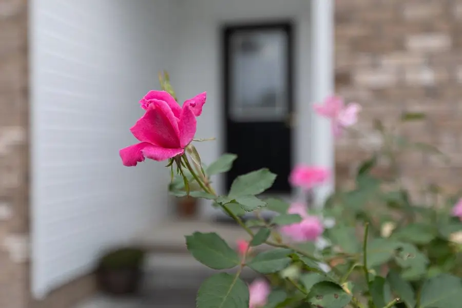275 Windermere Dr, Broadway, VA 22815 - #3