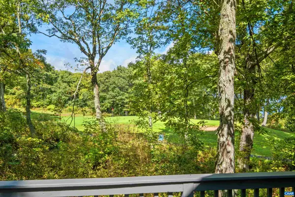 911 Devils Knob Loop, Wintergreen Resort, VA 22967