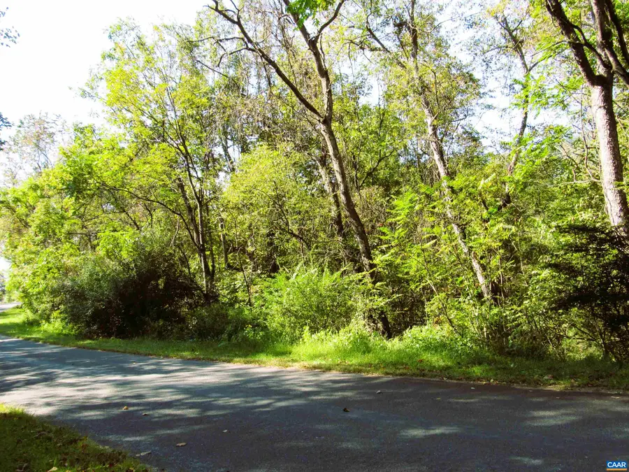 Fortunes Cove Ln, Lovingston, VA 22949 - #2