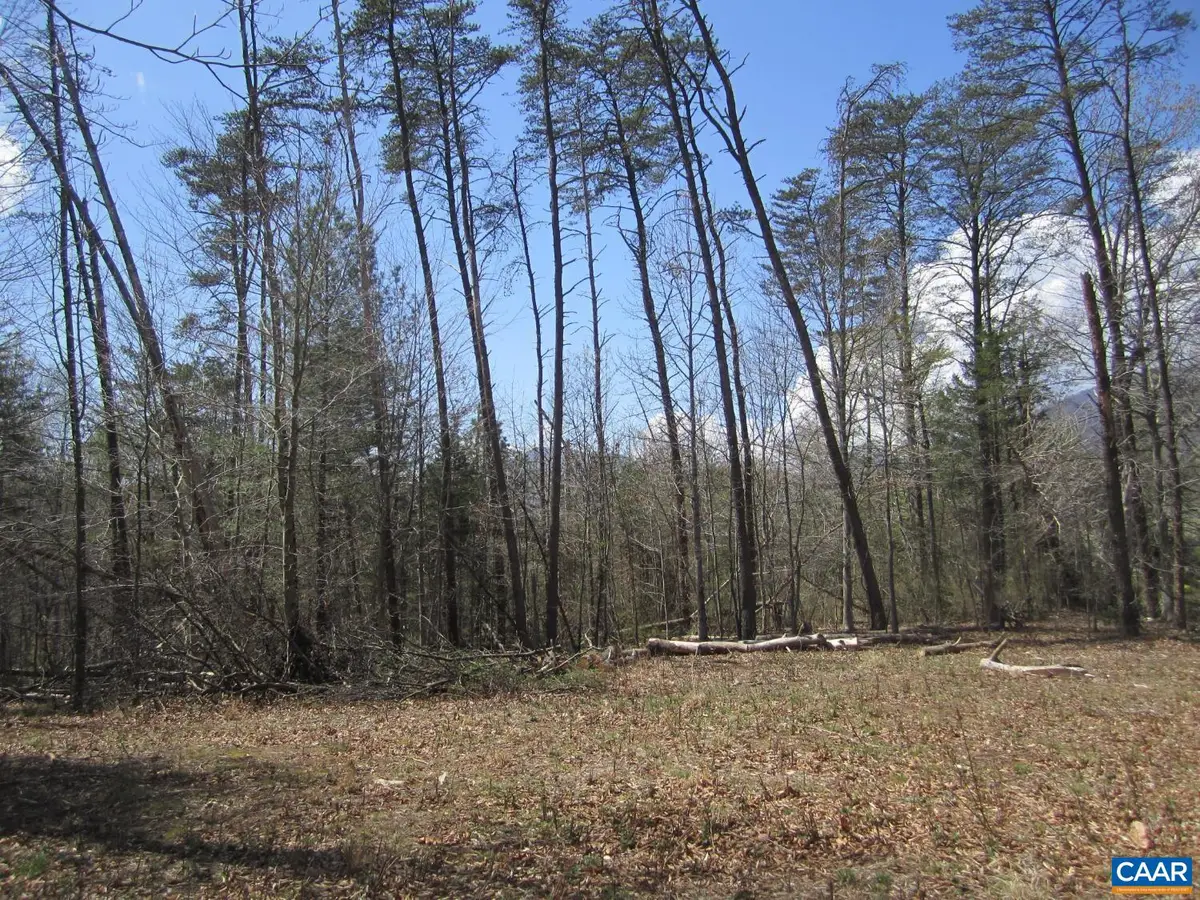 5 Logan Pl, Nellysford, VA 22958 - #1