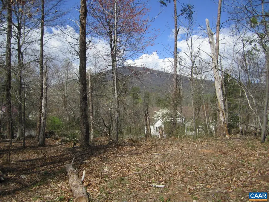 5 Logan Pl, Nellysford, VA 22958 - #2