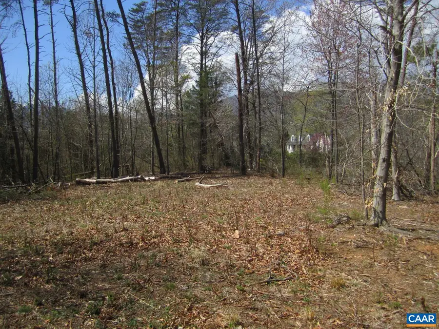 5 Logan Pl, Nellysford, VA 22958 - #3