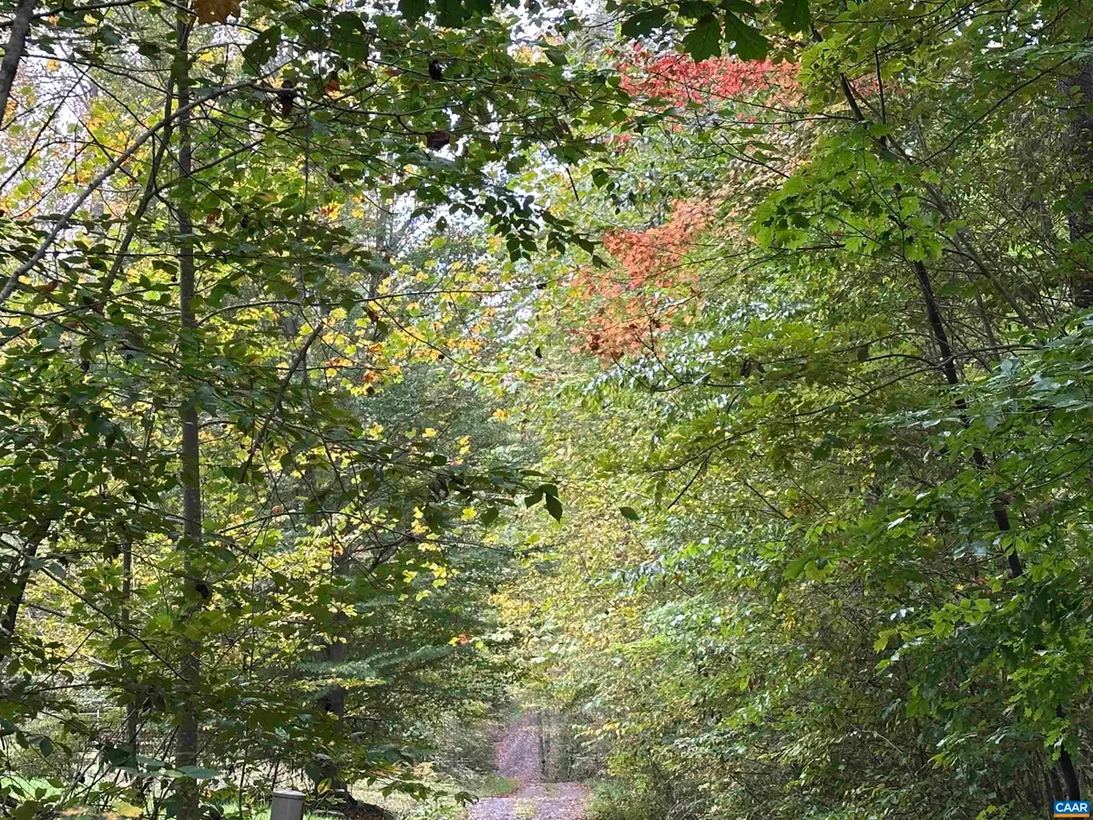 lot 2 Fredericksburg Rd, Ruckersville, VA 22968 - #1