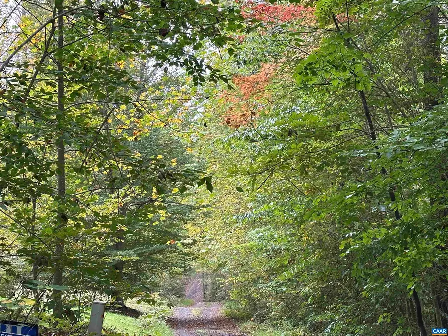 lot 2 Fredericksburg Rd, Ruckersville, VA 22968 - #2