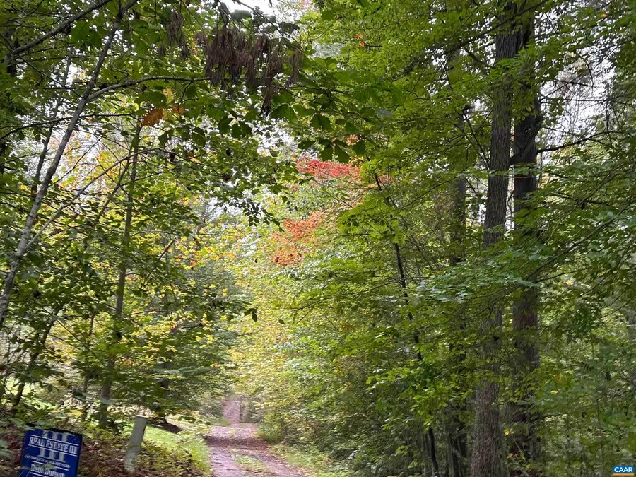 lot 2 Fredericksburg Rd, Ruckersville, VA 22968 - #3