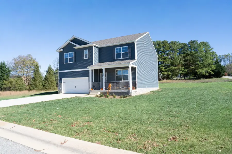 180 Waterfront Dr, Raphine, VA 24472 - #2