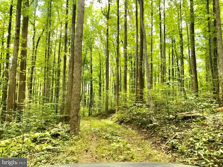 Stony Point Pass, Keswick, VA 22947 - #3
