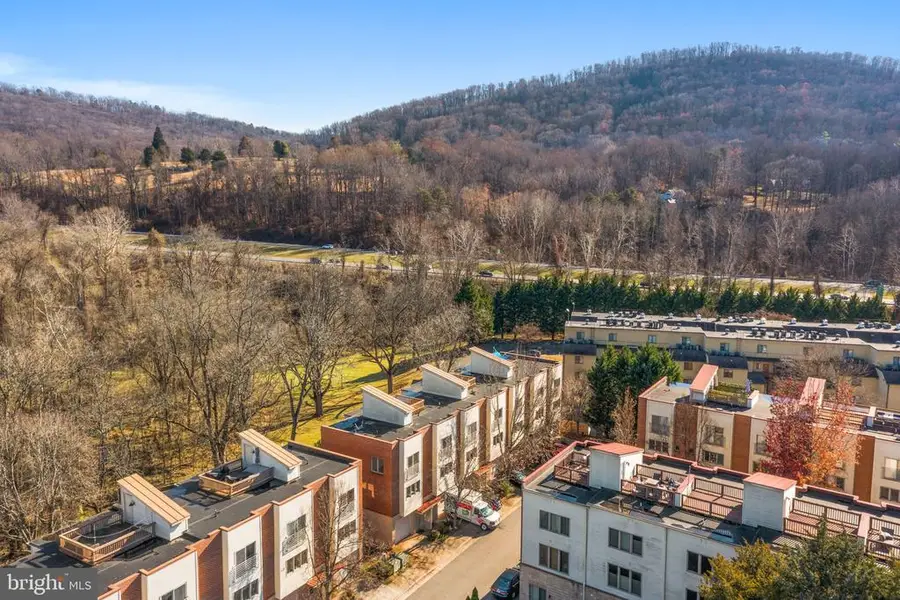 1013 Linden Ave, Charlottesville, VA 22902 - Image #3