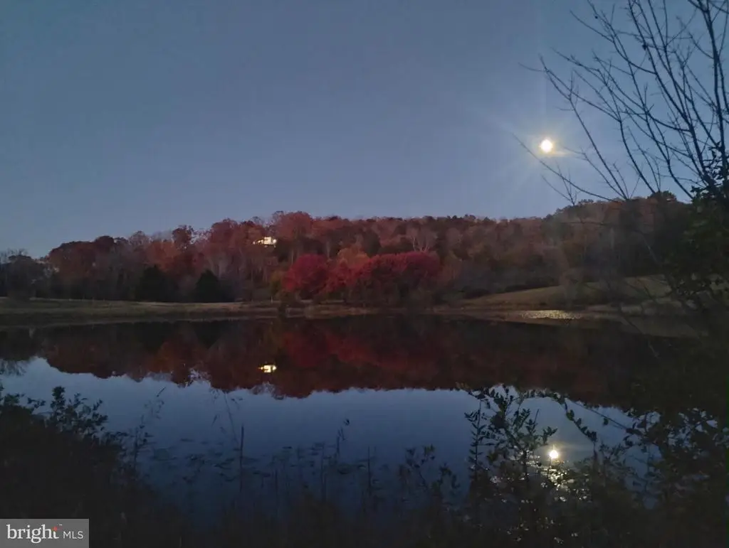 Teal, Elkwood, VA 22718 - Image #1