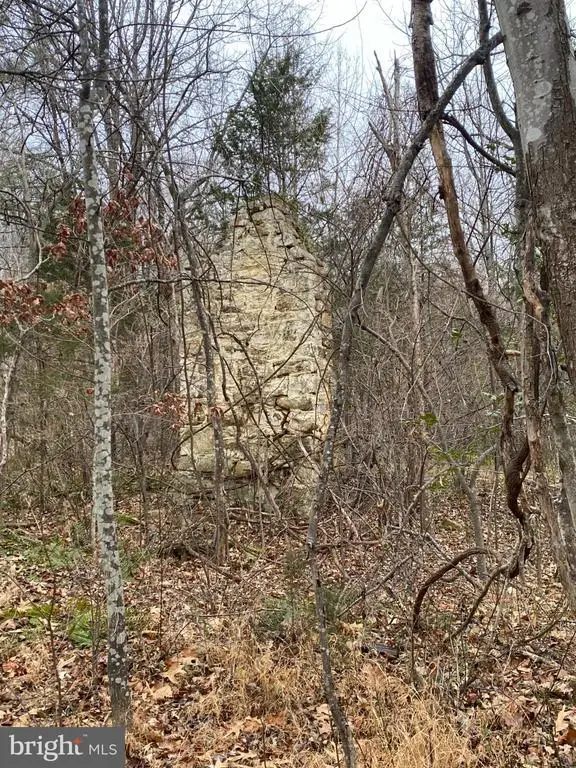 0 Settle School Rd, Rixeyville, VA 22737 - #3