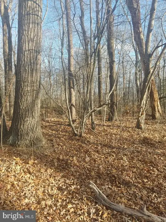 Rixeyville Rd. Rte. 229/ Lot 1 Next To Kimber Lane, Culpeper, VA 22701 - Image #2