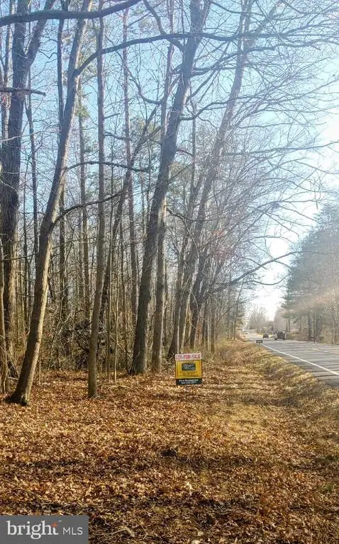 Rixeyville Rd. Rte. 229/ Lot 1 Next To Kimber Lane, Culpeper, VA 22701 - Image #3