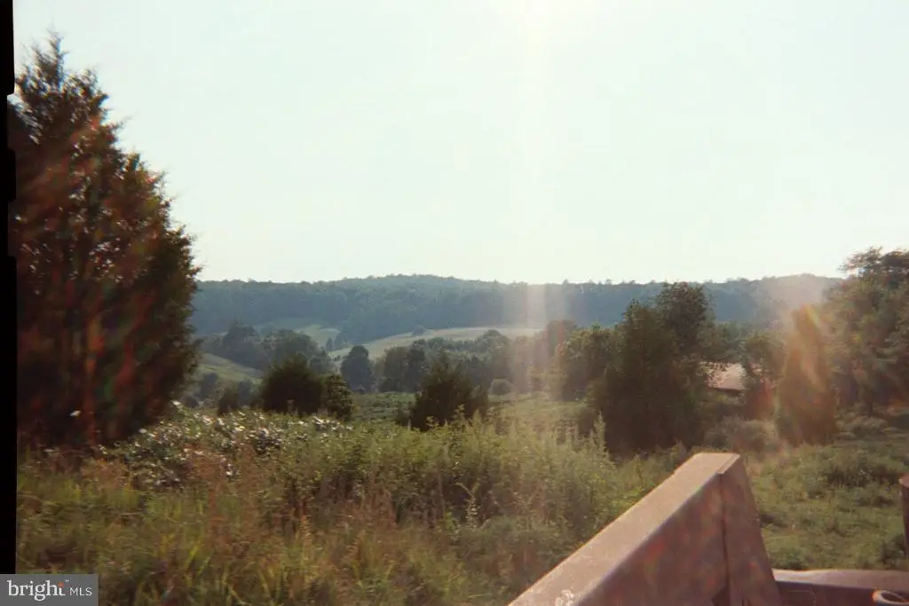 5 Sperryville Pike, Boston, VA 22713 - #1