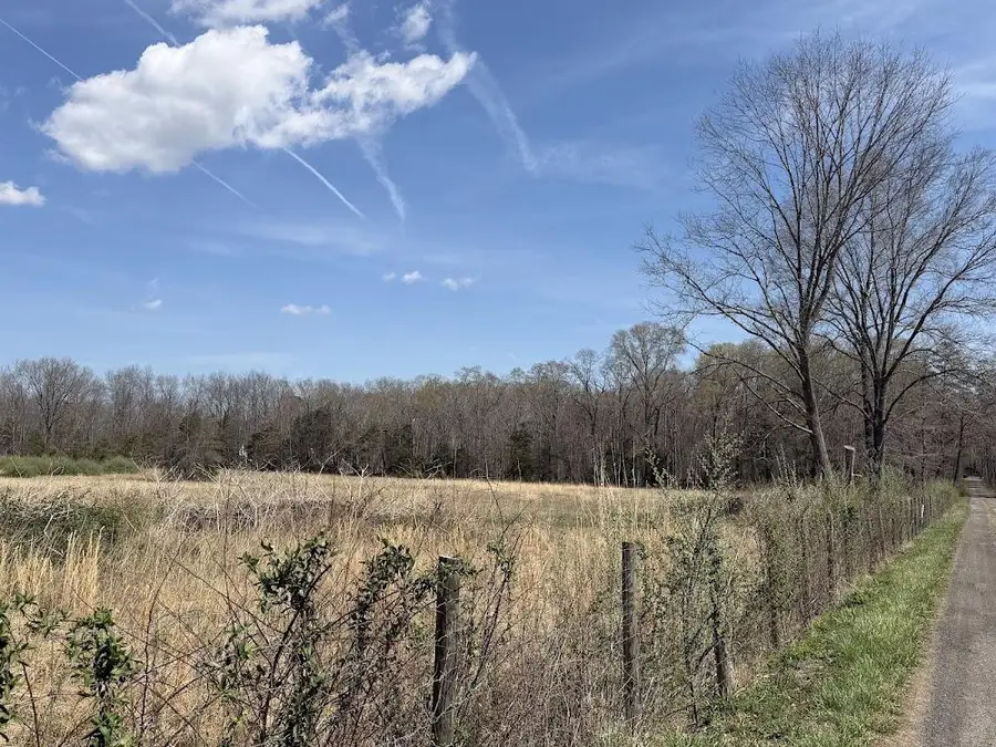 16080 Newbys Shop, Elkwood, VA 22718 - #3