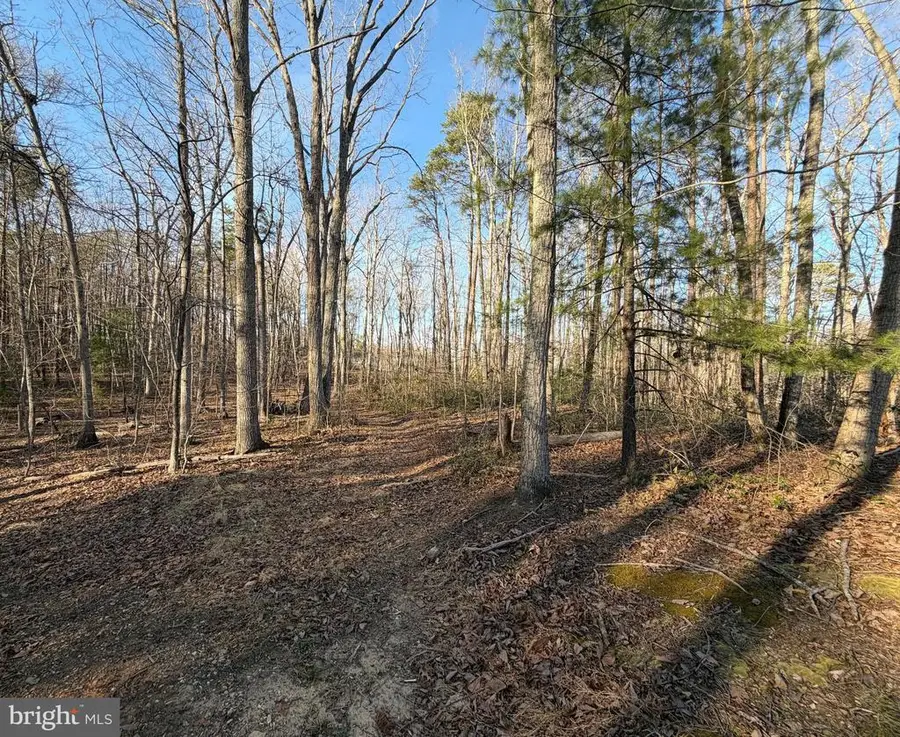Woodland Church Rd, Culpeper, VA 22701 - #2