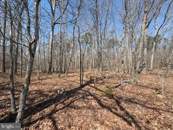 Countryside Lane - Lot 1, Lignum, VA 22726