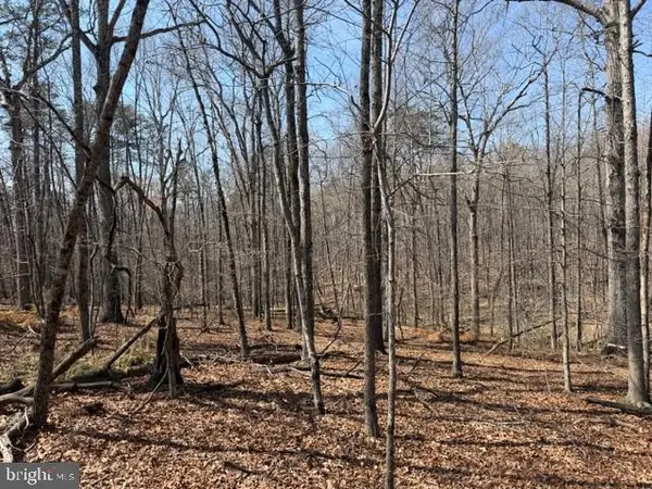 Countryside Lane - Lot 4, Lignum, VA 22726