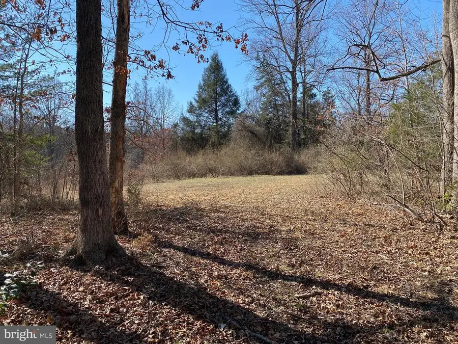 0 Whites Farm Lane Residue, Culpeper, VA 22701 - #3