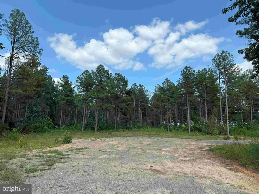 Holland Road (tract: Jr Bedford-bowles_sims-2), Columbia, VA 23038 - Image #2